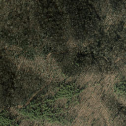 Satellite imagery of Rocky Branch Ridge, US