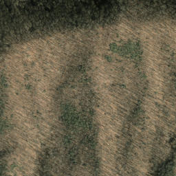 Satellite imagery of Roberson Ridge, US