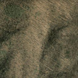 Satellite imagery of Roberson Ridge, US