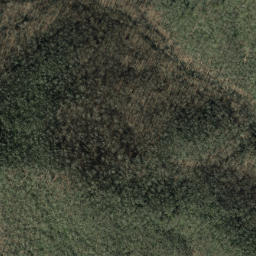 Satellite imagery of Beetree Ridge, US