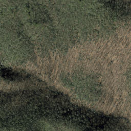Satellite imagery of Beetree Ridge, US