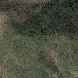 Satellite imagery of Beetree Ridge, US