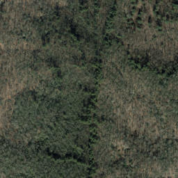 Satellite imagery of Middle Ridge, US