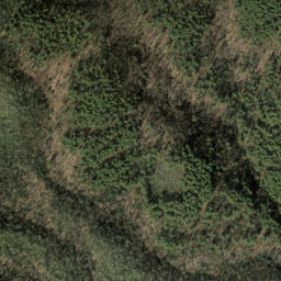Satellite imagery of Rocky Branch Ridge, US