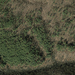 Satellite imagery of Rocky Branch Ridge, US