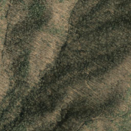 Satellite imagery of Roberson Ridge, US
