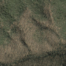Satellite imagery of Little Pisgah Ridge, US