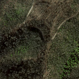 Satellite imagery of Locust Ridge, US