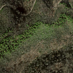 Satellite imagery of Locust Ridge, US