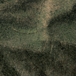 Satellite imagery of Snaggy Ridge, US
