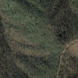 Satellite imagery of Laurel Ridge, US