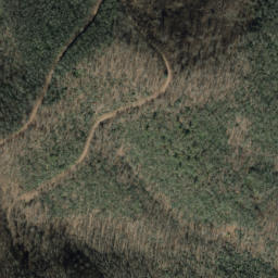 Satellite imagery of Laurel Ridge, US