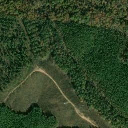 Satellite imagery of Waynesboro Ridge, US