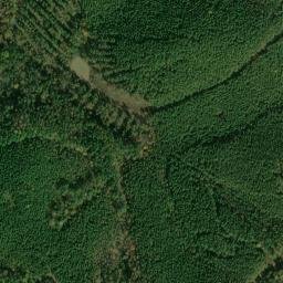 Satellite imagery of Waynesboro Ridge, US