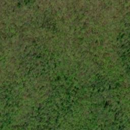 Satellite imagery of Pine Ridge, US