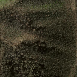 Satellite imagery of Locust Ridge, US