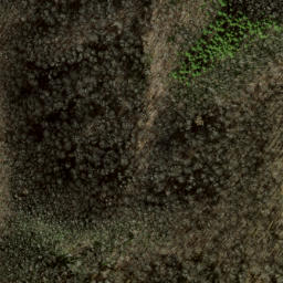 Satellite imagery of Locust Ridge, US