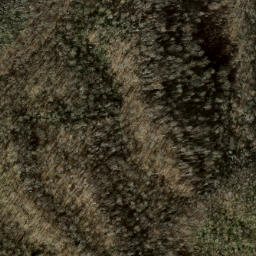Satellite imagery of Locust Ridge, US