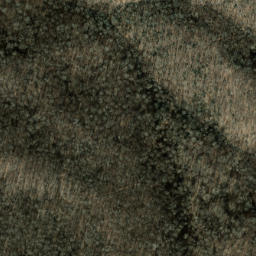 Satellite imagery of Snaggy Ridge, US