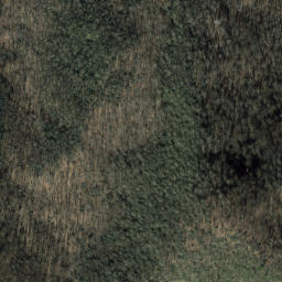 Satellite imagery of Laurel Ridge, US