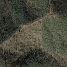 Satellite imagery of Laurel Ridge, US