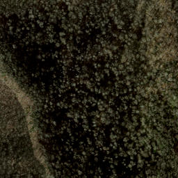 Satellite imagery of Locust Ridge, US