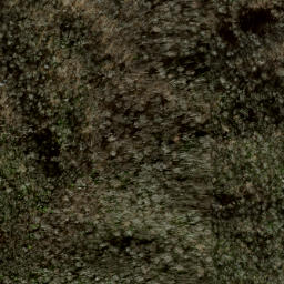 Satellite imagery of Locust Ridge, US