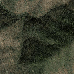 Satellite imagery of Foxtown Ridge, US