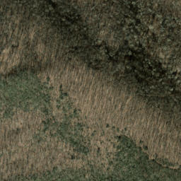 Satellite imagery of Snaggy Ridge, US