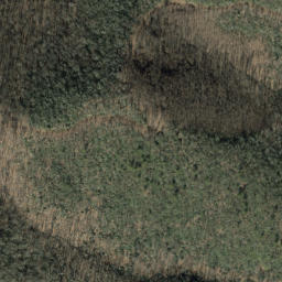 Satellite imagery of Laurel Ridge, US