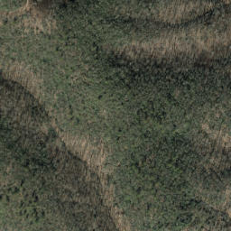 Satellite imagery of Laurel Ridge, US