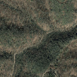 Satellite imagery of Laurel Ridge, US