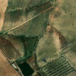 Satellite imagery of En Nakhla, DZ