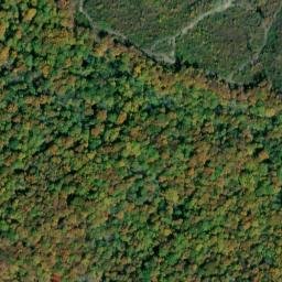 Satellite imagery of Cowen Point, US