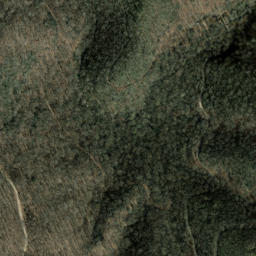 Satellite imagery of Foxtown Ridge, US