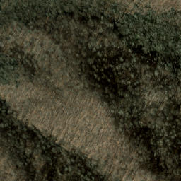 Satellite imagery of Dark Ridge, US