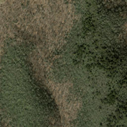 Satellite imagery of Thompson Ridge, US
