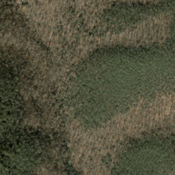 Satellite imagery of Thompson Ridge, US