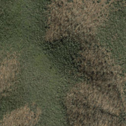 Satellite imagery of Thompson Ridge, US