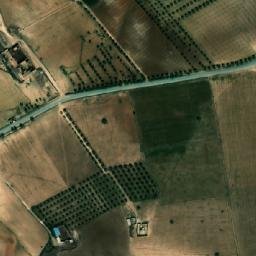 Satellite imagery of En Nakhla, DZ