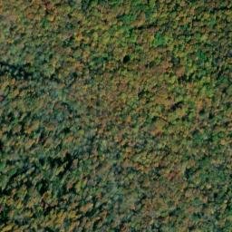 Satellite imagery of Cowen Point, US