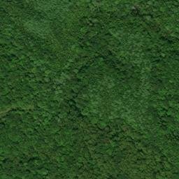Satellite imagery of Miller Ridge, US
