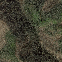 Satellite imagery of Hayes Ridge, US