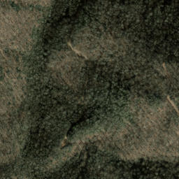 Satellite imagery of Brier Ridge, US