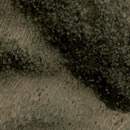 Satellite imagery of Dark Ridge, US