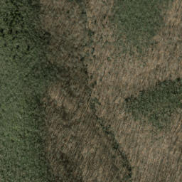 Satellite imagery of Thompson Ridge, US