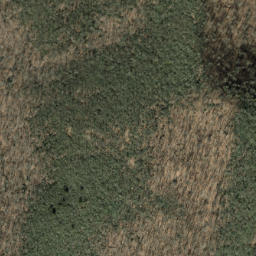 Satellite imagery of Pilot Rock, US