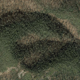Satellite imagery of Pilot Rock, US