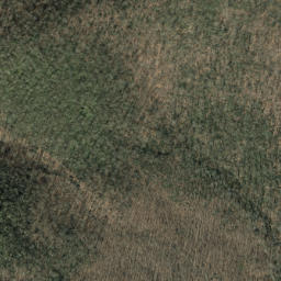 Satellite imagery of Pilot Rock, US
