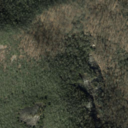 Satellite imagery of Forked Ridge, US